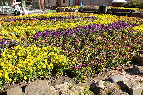 048-Старая Рига